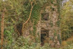 Narrow-Water-Folly-Newry-Man-Lost-13