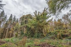 Narrow-Water-Folly-Newry-Man-Lost-20