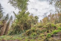 Narrow-Water-Folly-Newry-Man-Lost-3